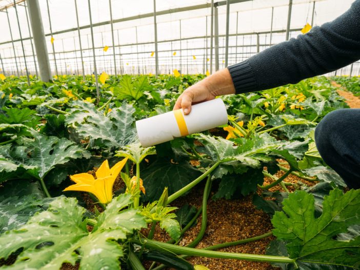 Lo sviluppo della resistenza alle sostanze attive una sfida per i professionisti del Pest Management
