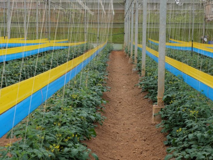 IPM industria alimentare