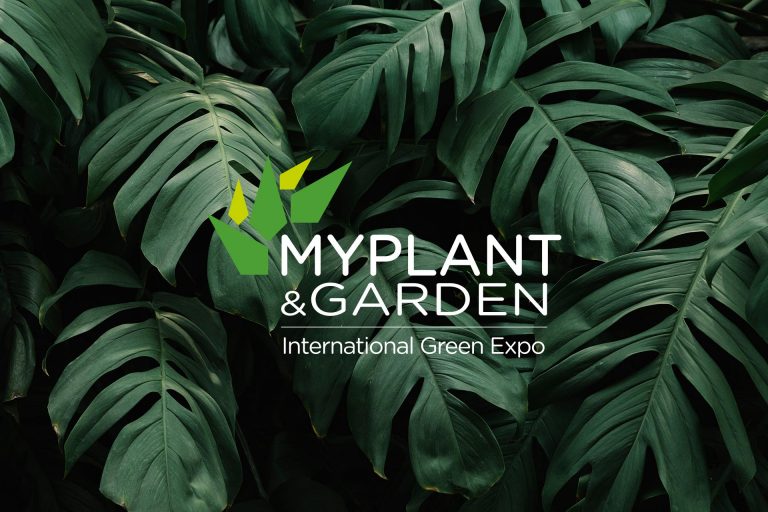 copyr-spa-my-plant-2020