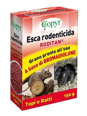 RODITAN GRANO 2538285