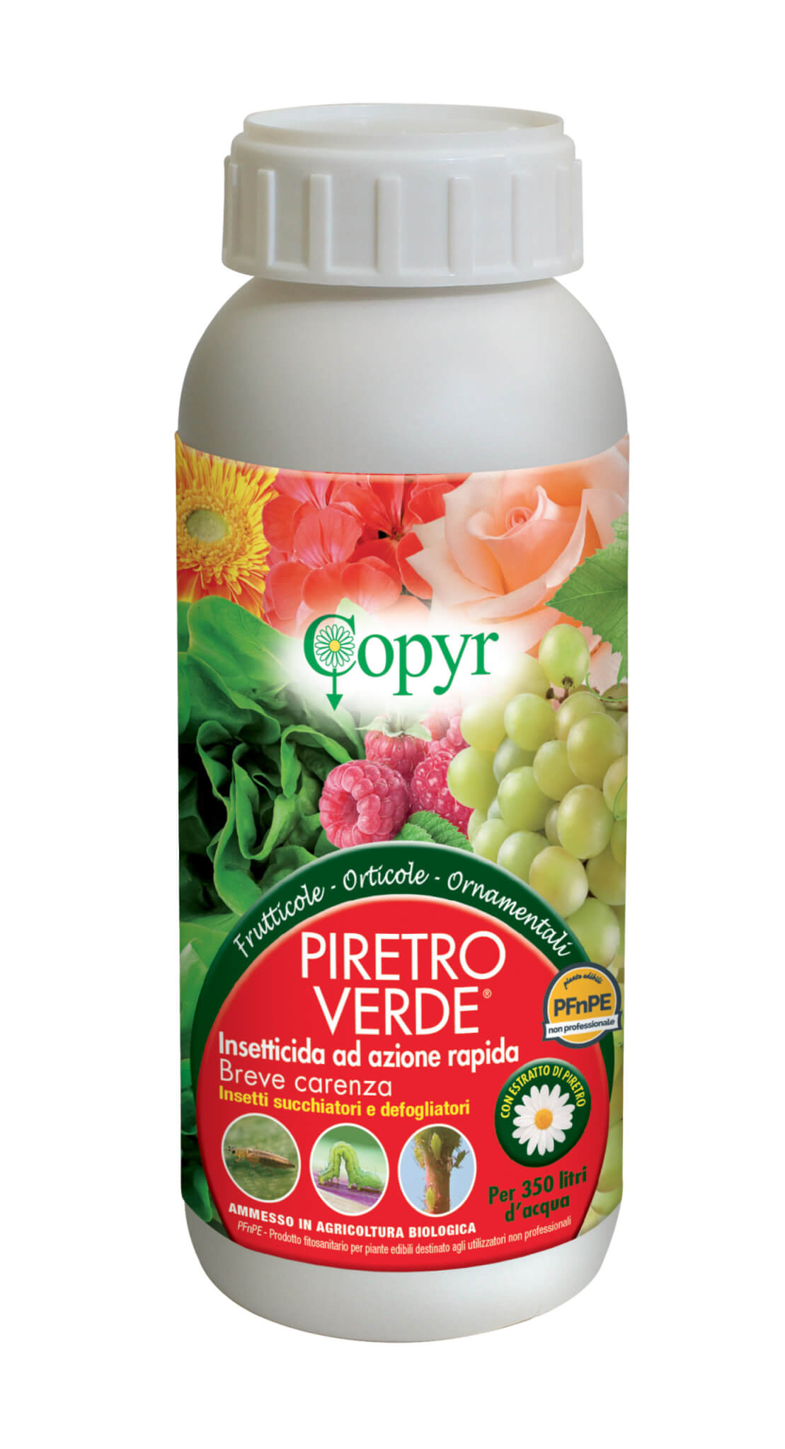 PIRETRO VERDE 2770550