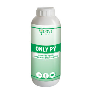 ONLY PY LT. 1 | Copyr