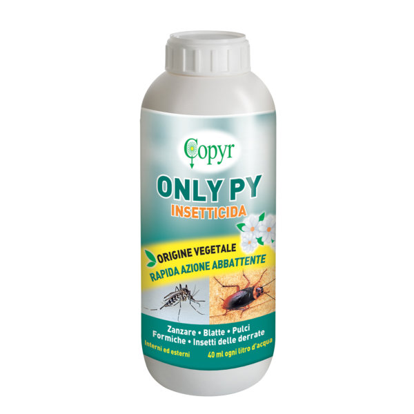 ONLY PY LT. 1 H&G | Copyr