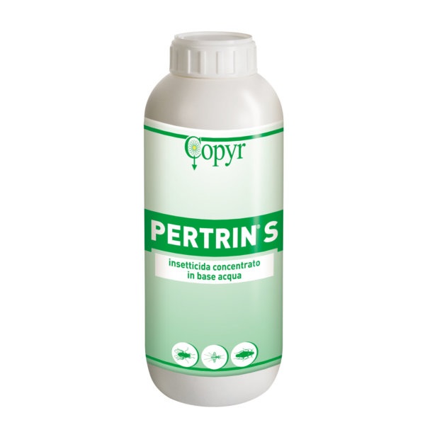 PERTRIN S/ACQUA LT. 1 | Copyr