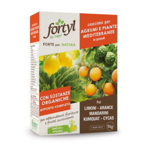 FORTYL AGRUMI GRANULARE KG 1 | Copyr