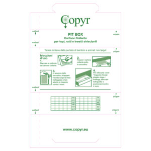 CARTONE COLLANTE X PIT-BOX | Copyr