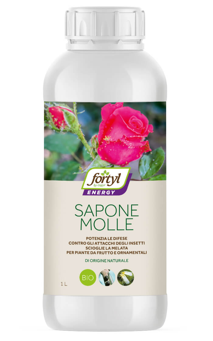 FORTYL ENERGY SAPONE MOLLE DA 1L